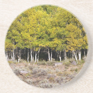Schilderachtig reeks-Aspen Grove Onderzetter