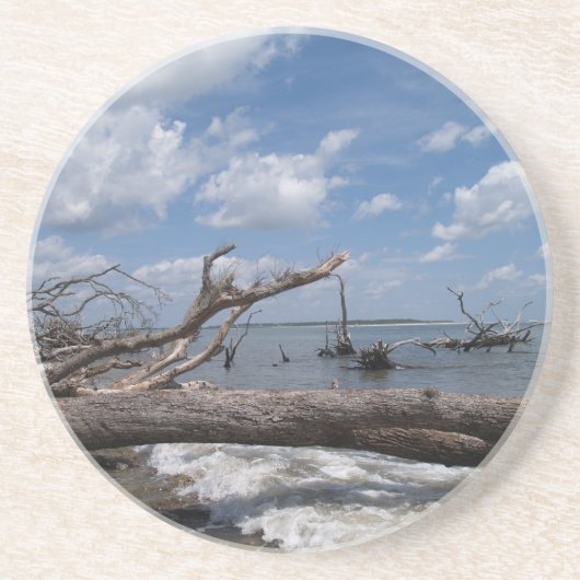 Schilderachtig reeks—Driftwood Onderzetter (Voorkant)