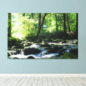 Schilderachtig River Canvas Afdruk (Insitu (Houten vloer))