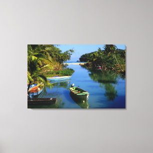 Schilderachtig rivier nabij Ocho Rios in Jamaica Canvas Afdruk