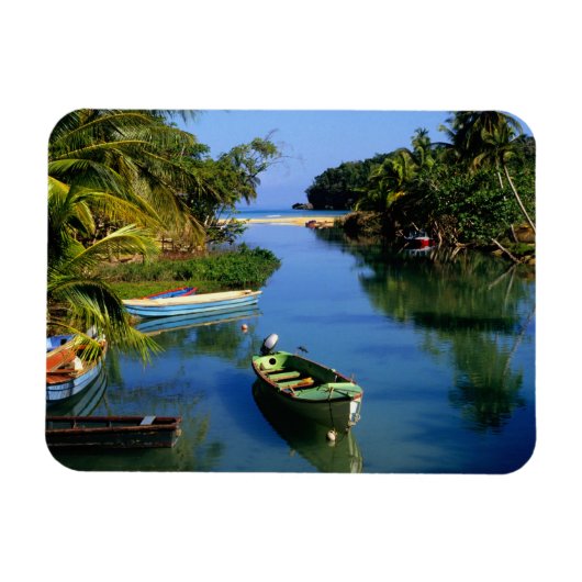 Schilderachtig rivier nabij Ocho Rios in Jamaica Magneet (Horizontaal)