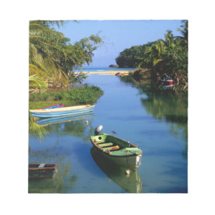 Schilderachtig rivier nabij Ocho Rios in Jamaica Notitieblok