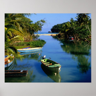 Schilderachtig rivier nabij Ocho Rios in Jamaica Poster