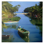 Schilderachtig rivier nabij Ocho Rios in Jamaica Tegeltje (Voorkant)