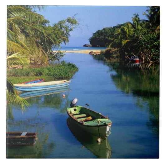 Schilderachtig rivier nabij Ocho Rios in Jamaica Tegeltje (Voorkant)