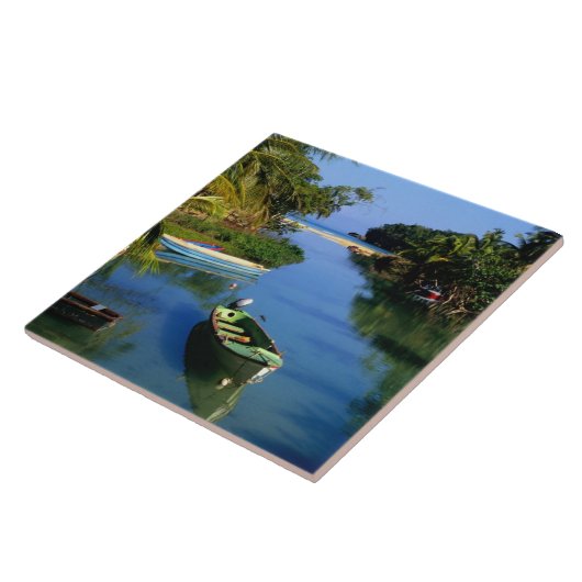 Schilderachtig rivier nabij Ocho Rios in Jamaica Tegeltje (Zijkant)