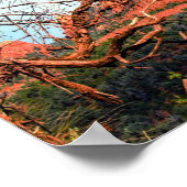 Schilderachtig rode raketten van de Mok Sedona Lat Poster (Hoek)