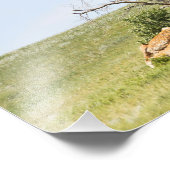 Schilderachtig Rural Saskatchewan Foto Afdruk (Hoek)