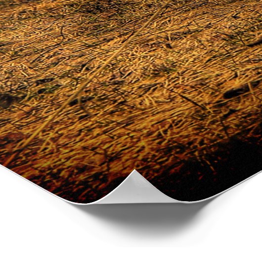 Schilderachtig Rustic Fence in het landkunstwerk Poster (Hoek)