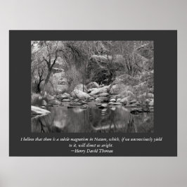 Schilderachtig Sabino Canyon Winter Poster