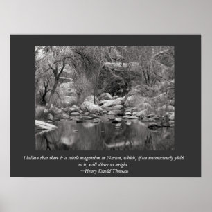 Schilderachtig Sabino Canyon Winter Poster