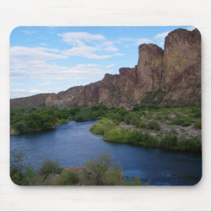Schilderachtig Saguaro Lake Muismat