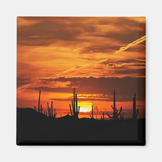 Schilderachtig Saguaros op Sunset Magneet (Voorkant)