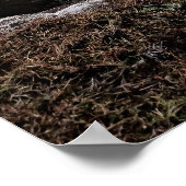 Schilderachtig Seascape uit Schotland Poster (Hoek)