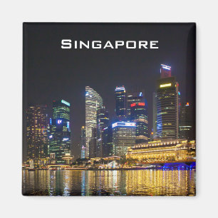Schilderachtig Singapore Skyline Magneet