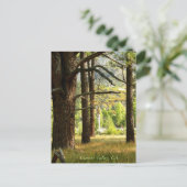 Schilderachtig spoor in Garner Valley, CA Briefkaart (Staand voorkant)