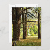 Schilderachtig spoor in Garner Valley, CA Briefkaart (Voorkant / Achterkant)