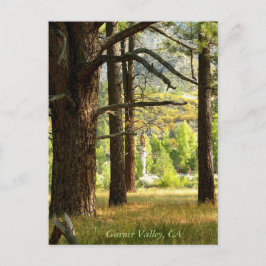Schilderachtig spoor in Garner Valley, CA Briefkaart