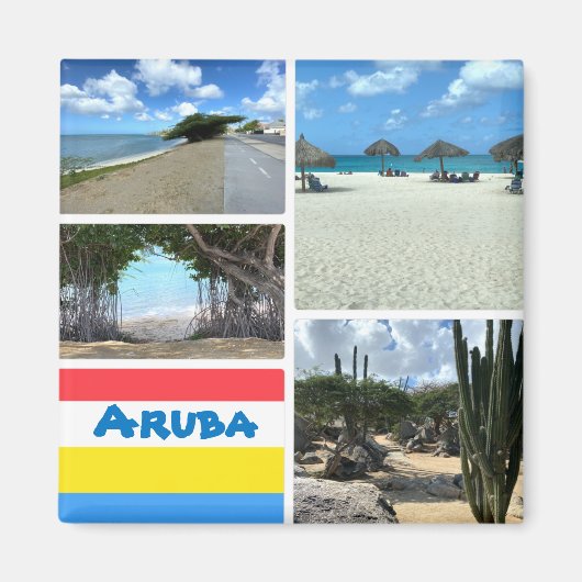 Schilderachtig strand en woestijn Aruba Magneet (Voorkant)