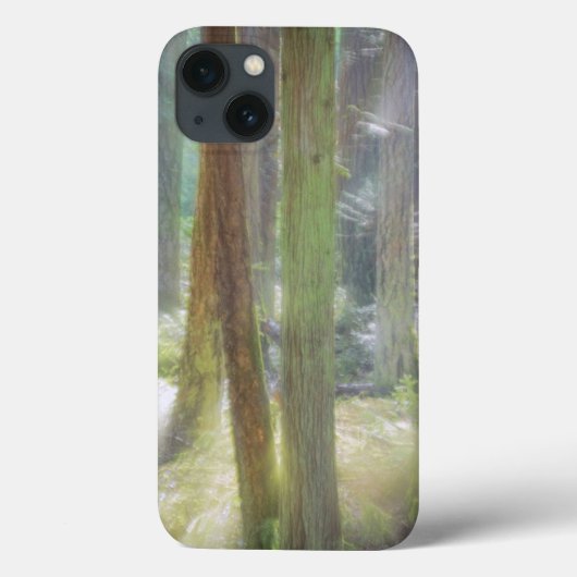 Schilderachtig strand State Park Case-Mate iPhone Case (Achterkant)
