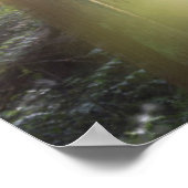 Schilderachtig strand State Park Poster (Hoek)