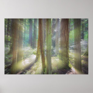 Schilderachtig strand State Park Poster