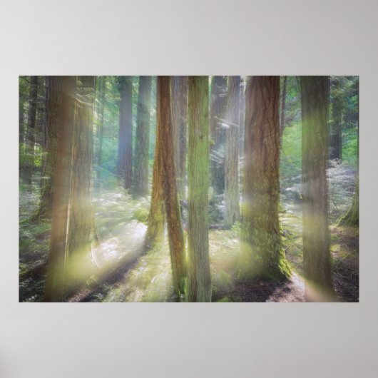 Schilderachtig strand State Park Poster (Voorkant)