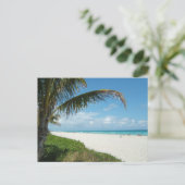 Schilderachtig strand, zijpalmvertakking briefkaart (Staand voorkant)