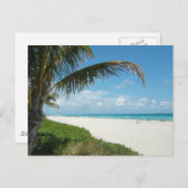 Schilderachtig strand, zijpalmvertakking briefkaart (Voorkant / Achterkant)