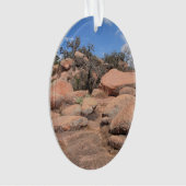 Schilderachtig Texas Enchanted Rock State Natural  Ornament (voorkant)
