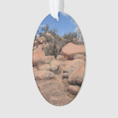 Schilderachtig Texas Enchanted Rock State Natural  Ornament (voorkant)