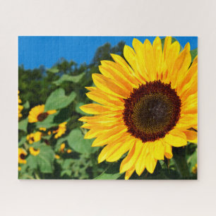 Schilderachtig thema Zonnebloem Natuur Legpuzzel