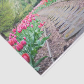 Schilderachtig Tulp Padweefselpapier Tissuepapier (Detail)