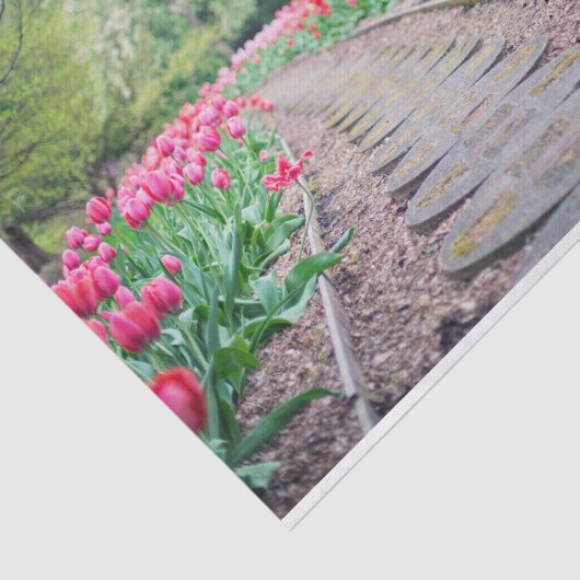 Schilderachtig Tulp Padweefselpapier Tissuepapier (Detail)