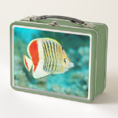 Schilderachtig Uitzicht onderwater vis in het Rode (Voorkant)