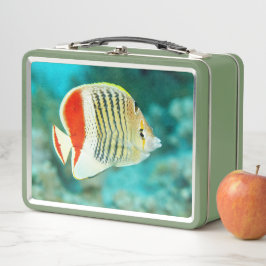 Schilderachtig Uitzicht onderwater vis in het Rode