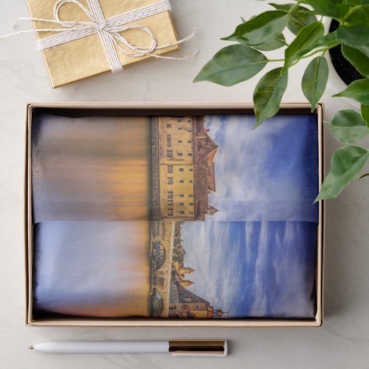 Schilderachtig Uitzicht Regensburg Tissuepapier (Geschenk)