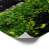 Schilderachtig Uitzicht van Hawaiian Coast Poster (Hoek)