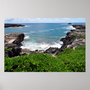 Schilderachtig Uitzicht van Hawaiian Coast Poster