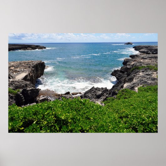 Schilderachtig Uitzicht van Hawaiian Coast Poster (Voorkant)