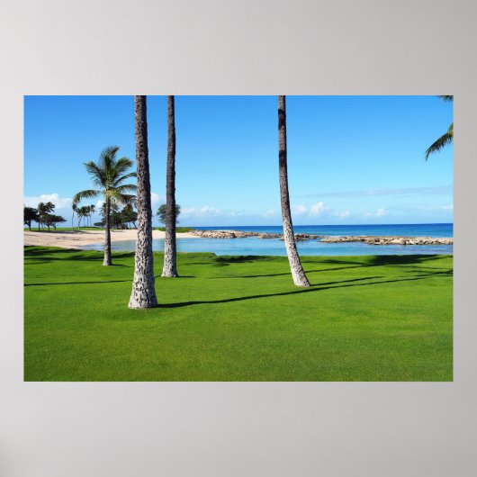 Schilderachtig Uitzicht van Hawaiian Lagoon Poster (Voorkant)
