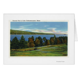 Schilderachtig Uitzicht van het Cobbosseecontenmee