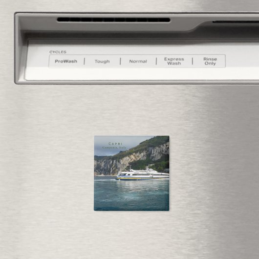 Schilderachtig Uitzicht van het passagiersschip in Magneet (Insitu (Vaatwasser))