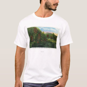 Schilderachtig Uitzicht van het Shadow Lake en het T-shirt