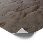 Schilderachtig Uitzicht van Paignton Pier tijdens  Poster (Hoek)