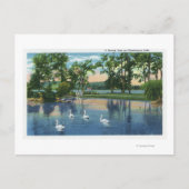 Schilderachtig Uitzicht van Zwans op het meer Briefkaart (Voorkant)