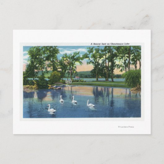 Schilderachtig Uitzicht van Zwans op het meer Briefkaart (Voorkant)