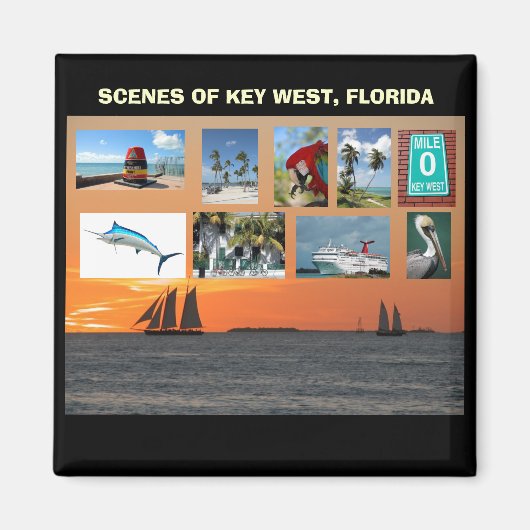 Schilderachtig Uitzichten Key West, Florida Magneet (Voorkant)