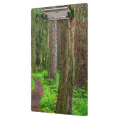 Schilderachtig van oud groeibos klembord (Links)