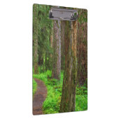 Schilderachtig van oud groeibos klembord (Rechts)